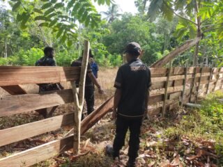 Polsek Bonggo Tindaklanjuti Kasus Penganiayaan di Kampung Bebon Jaya, Pelaku Dalam Lidik