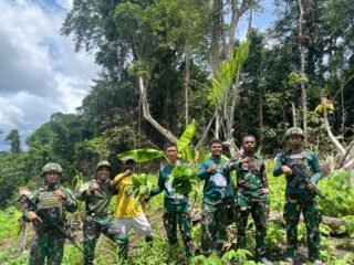 Satgas Pamtas RI-PNG Kewilayahan Yonif 763/SBA Pos Afkrem Laksanakan Binter Panen Hasil Kebun Bersama Masyarakat Kampung Afkrem