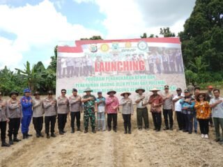 Wakapolda Papua Barat Pimpin Launching Penangkaran Benih Jagung Petani Milenial OAP